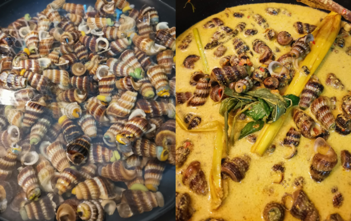 cara bersihkan siput sedut