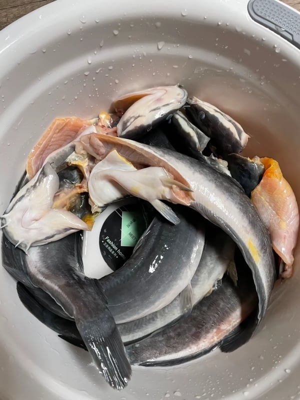 cara buang hanyir ikan