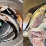 13 Rahsia Buang Hanyir Ikan, Terus Buat Ikan Jadi Bersih, Lendir Hilang & Bau Pun Lesap!