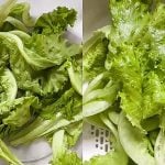 Cara Segarkan Daun Salad Yang Layu Paling Berkesan, Kekal Hijau & Segar Macam Baru Petik!
