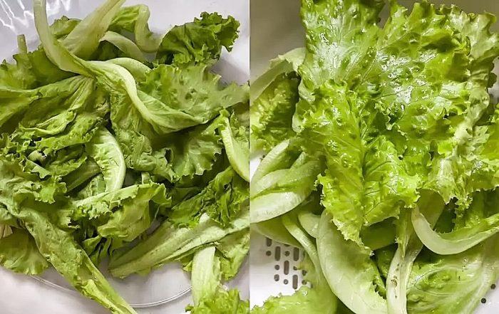 cara segarkan daun salad
