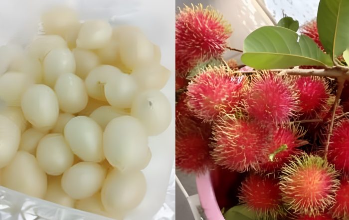 cara simpan buah rambutan