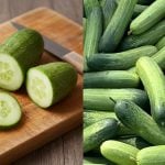 Cara Simpan Timun Supaya Tahan Lama & Kekal Segar, Tak Lembik Walaupun Dalam Peti Sejuk