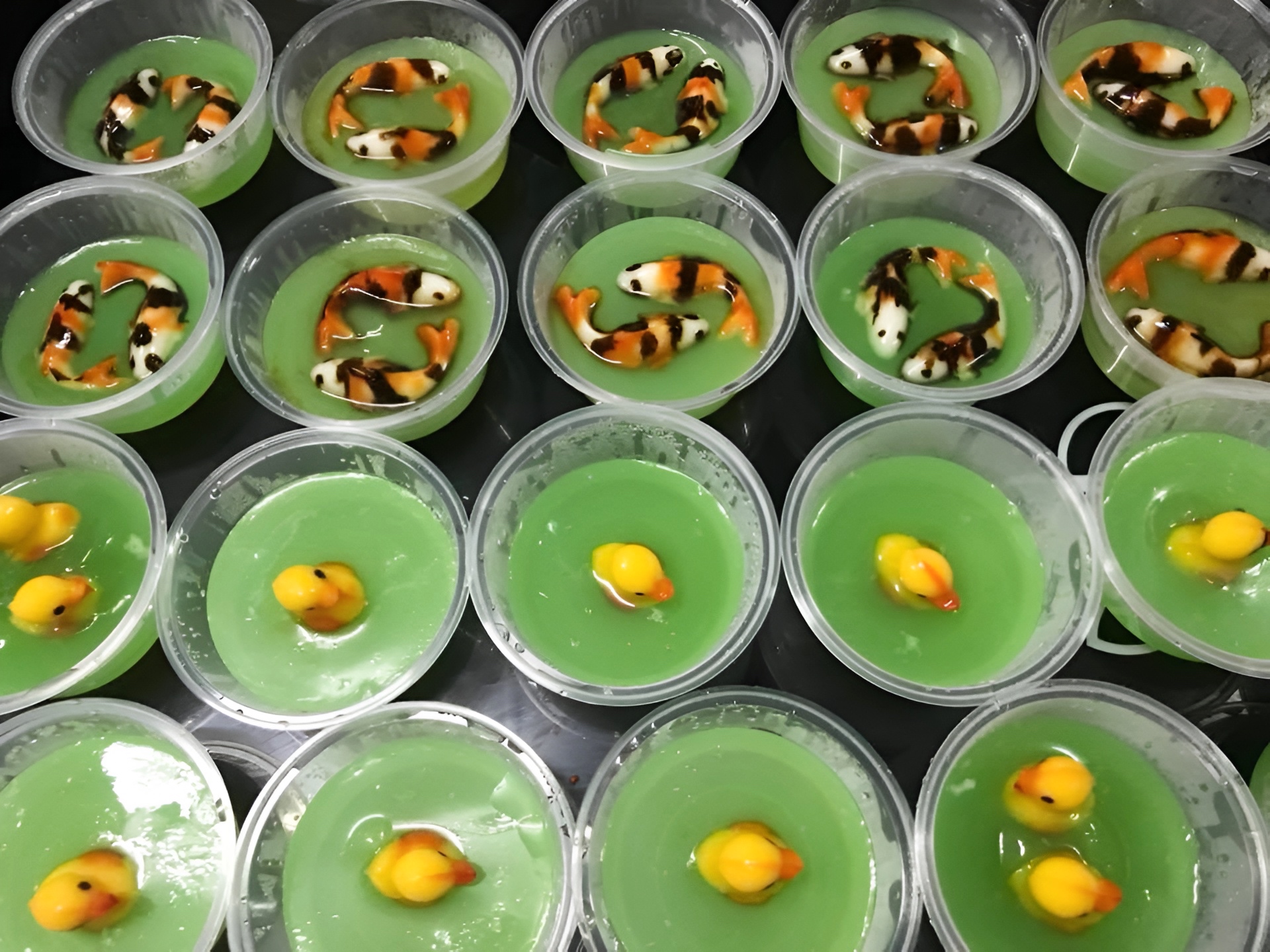 puding ikan koi