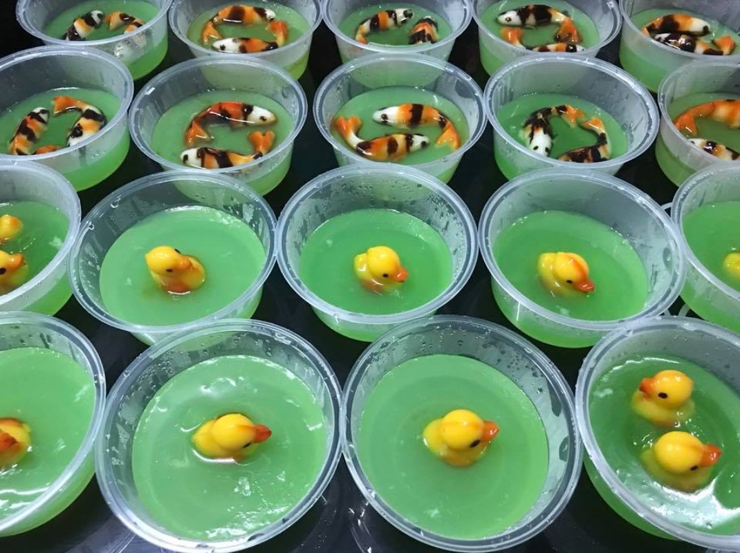 puding ikan koi