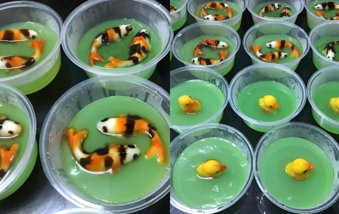 puding ikan koi