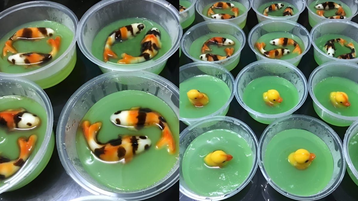 puding ikan koi