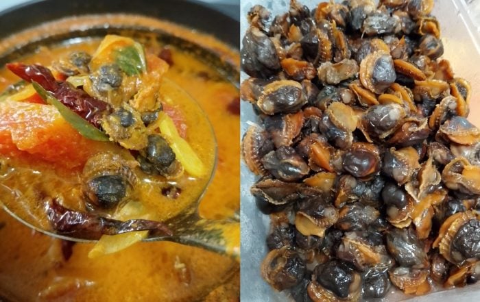 resepi gulai betik muda