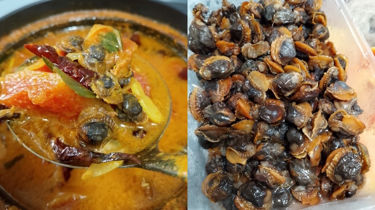 resepi gulai betik muda