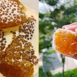 Resipi Sagu Gula Melaka Mudah Hanya 5 Bahan, Lembut Dan Wangi Kejadiannya!