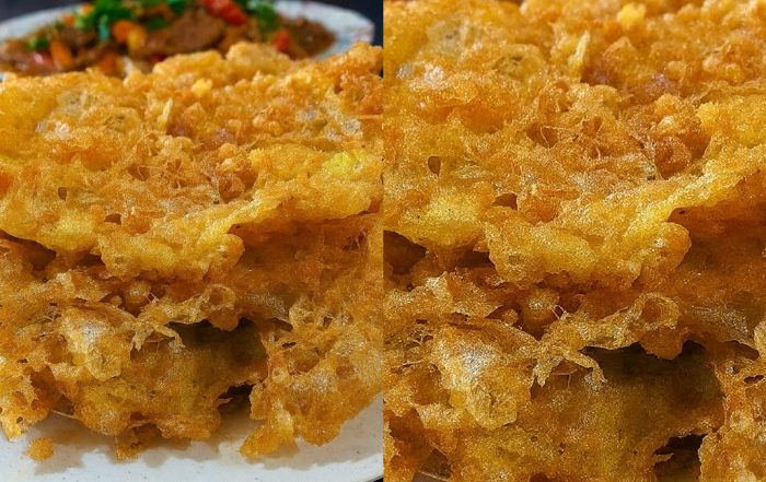 telur dadar crispy