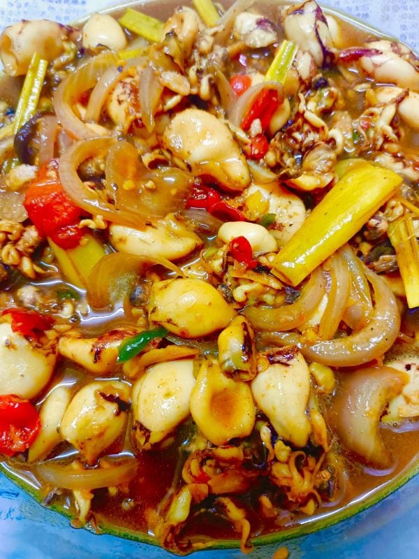 baby sotong