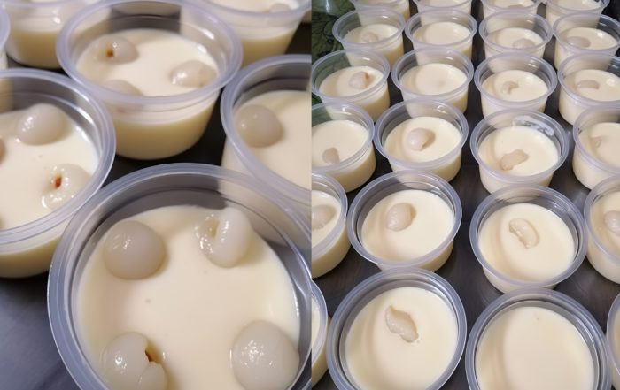 cara buat puding laici