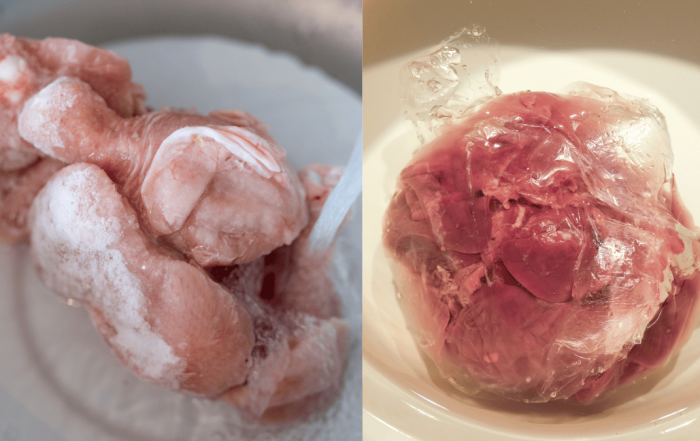 defrost ayam