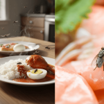 Petua Halau Lalat Di Meja Makan, Letak ‘Benda Ini’ Terus Tak Berani Datang Dekat!