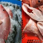 Ramai Tak Tahu, Ini ‘Rahsia’ Orang Lama Pilih Ikan Merah Supaya Isinya Lembut & Manis