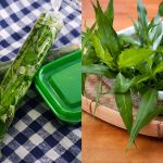 Cara Simpan Daun Kesum Supaya Kekal Segar Berbulan-Bulan, Tak Cepat Layu & Tetap Hijau