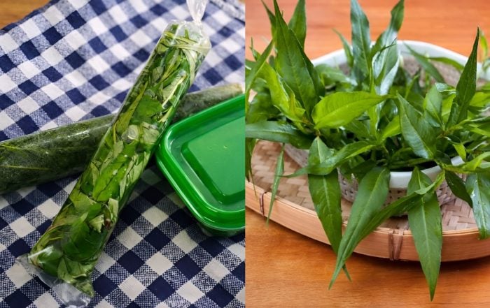 cara simpan daun kesum