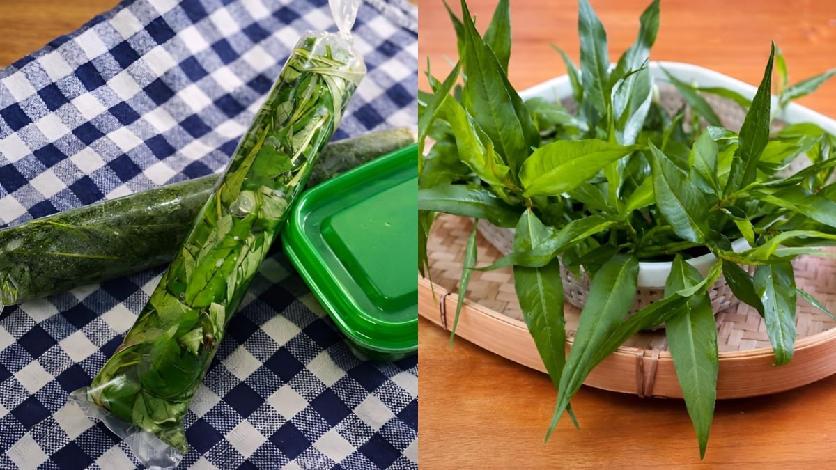 cara simpan daun kesum
