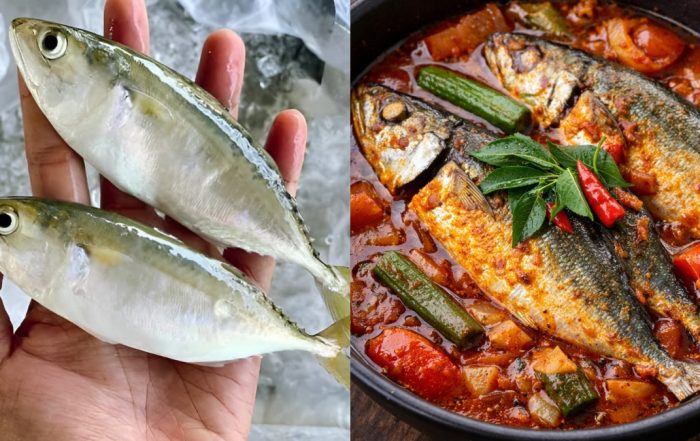 beza ikan kembung
