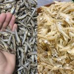 Ramai Salah Pilih! Ini Cara Betul Kenal Ikan Bilis Segar Supaya Sambal Tak Pahit Lagi