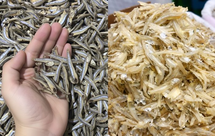 ikan bilis segar