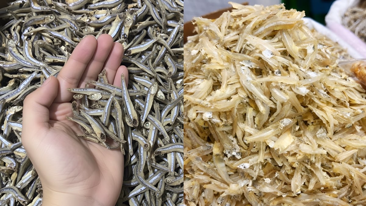 ikan bilis segar