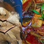 Ramai Silap Pilih! Ini Top 5 Jenis Ikan Pari Paling Sedap, Lembut & Tak Hancing Bila Masak