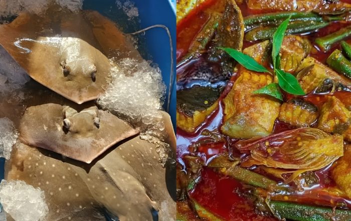 jenis ikan pari