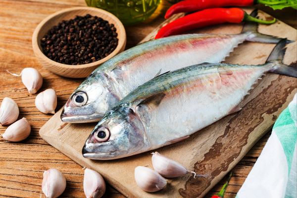 ikan salmon