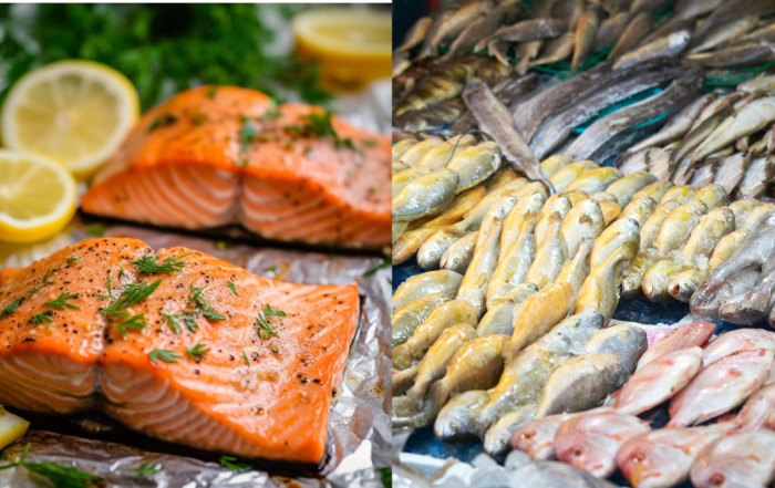 ikan salmon