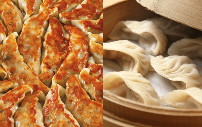resepi dumpling ayam