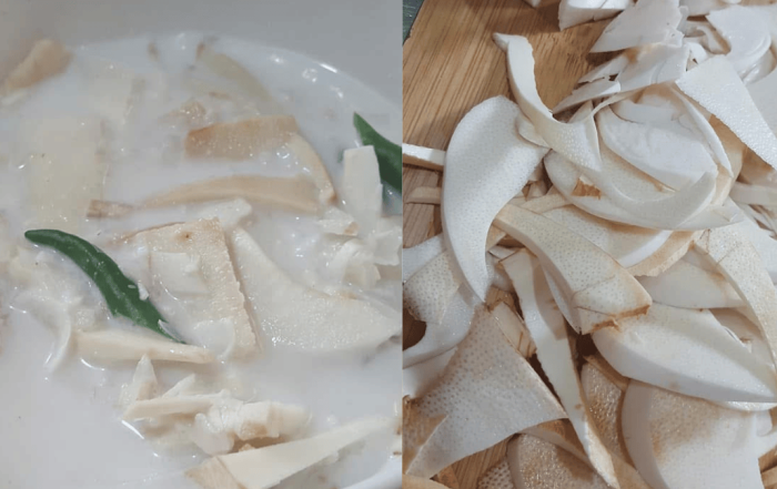 umbut kelapa