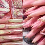 Petua Simpan Bunga Kantan Supaya Kekal Segar, Tahan Lama & Cantik, Nak Bila-Bila Masa Pun Boleh!
