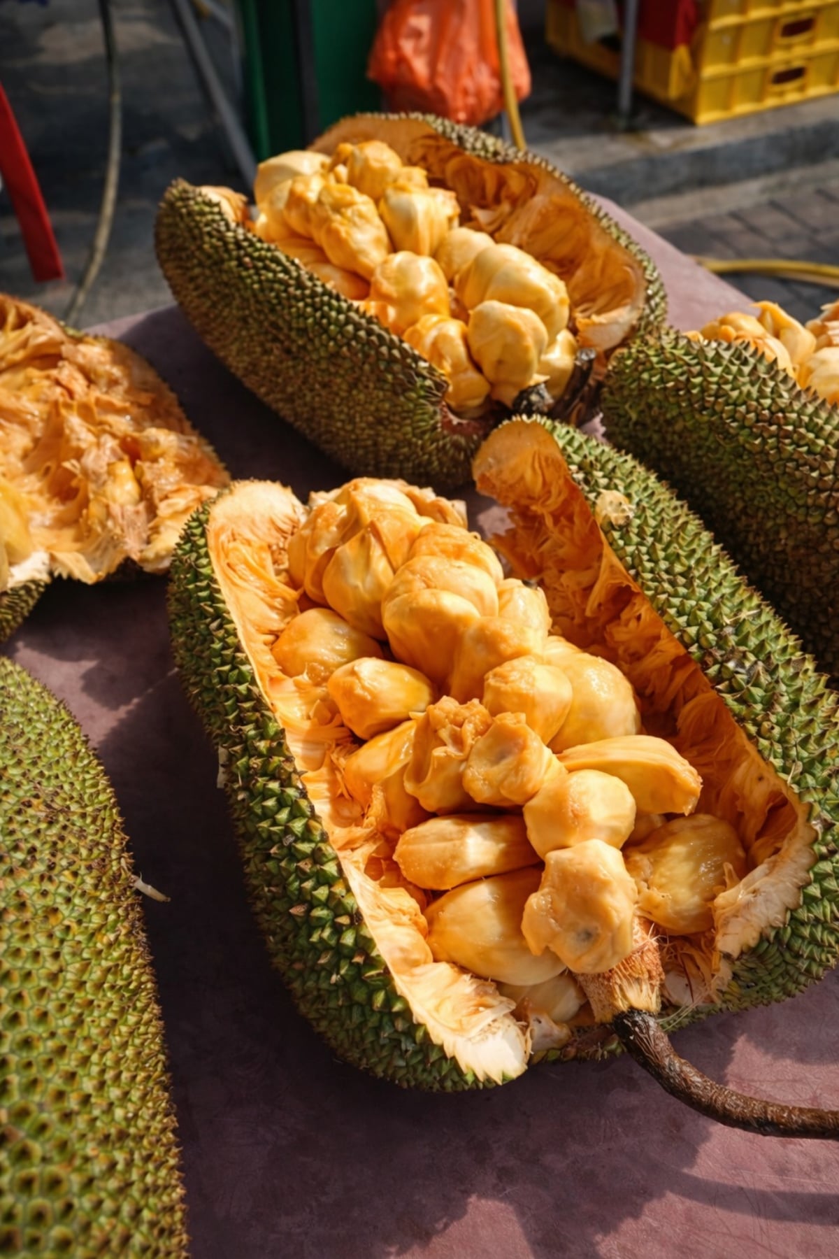 beza cempedak dan nangka