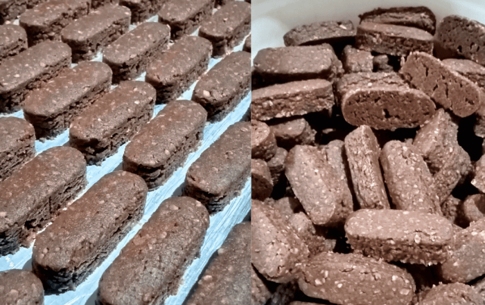 biskut jejari