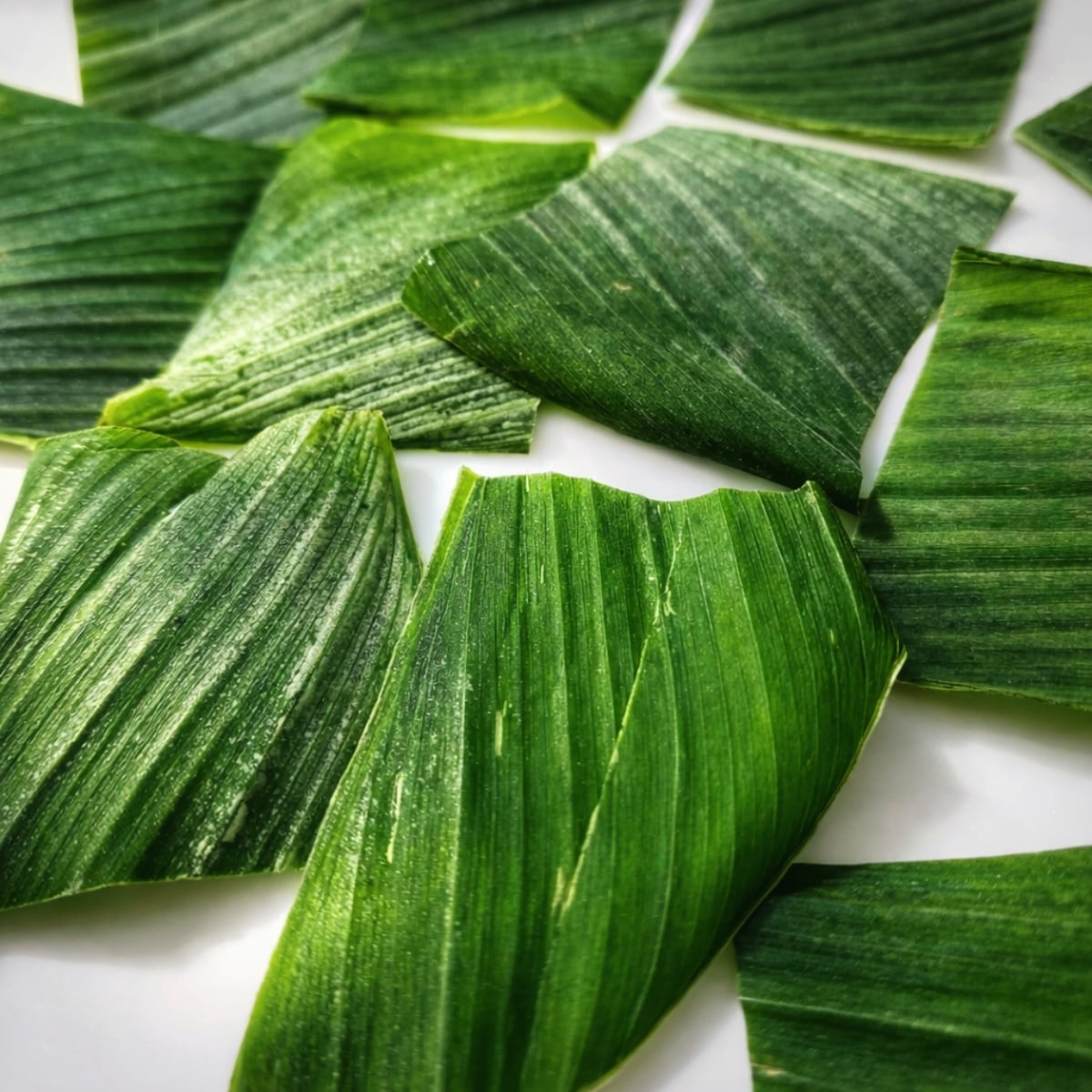 cara simpan daun kunyit