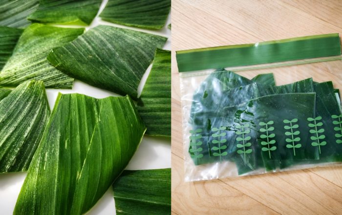 cara simpan daun kunyit