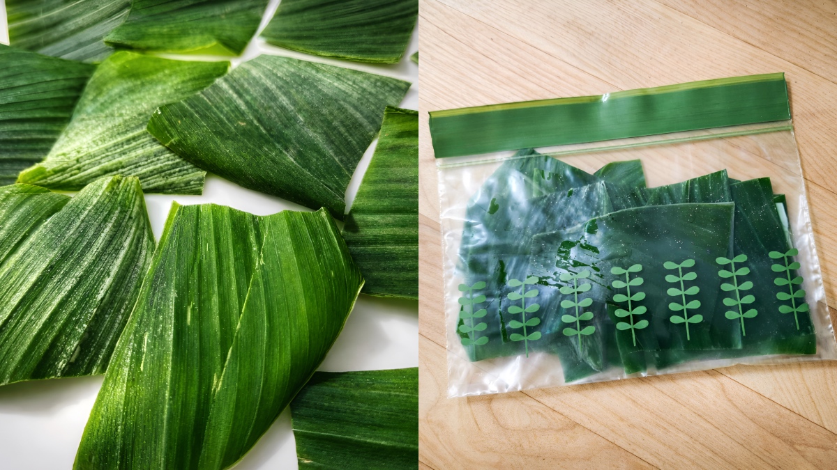 cara simpan daun kunyit