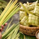 Ini Cara Betul Pilih Daun Kelapa Untuk Anyam Ketupat, Elak Bentuk Senget & Nasi Mudah Terkeluar