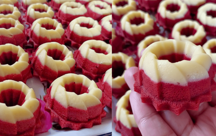 puteri ayu red velvet