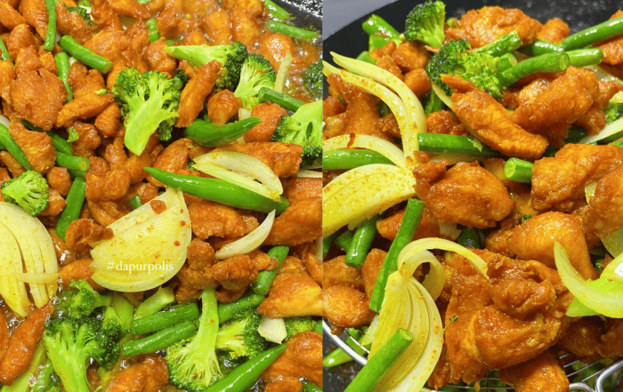 ayam goreng kari berempah