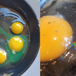 Jangan Makan Kalau Nampak Telur Ada ‘Berkilau Jernih’, Ini Kesannya Kalau Masuk Dalam Badan!