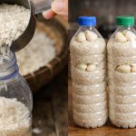 Rahsia Simpan Beras Lama Tanpa Bubuk Atau Kutu, Kekal Segar, Rasa & Tekstur Sama Macam Baru