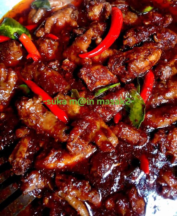 organ ayam