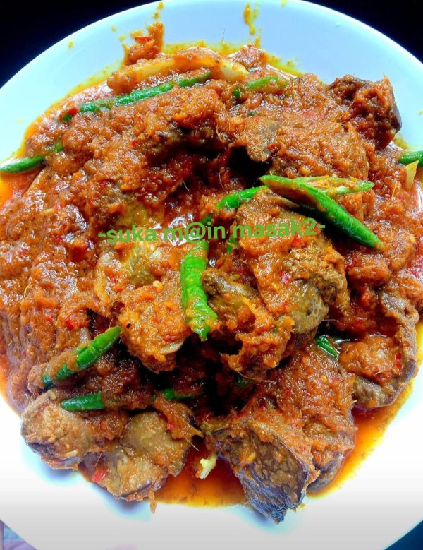 organ ayam