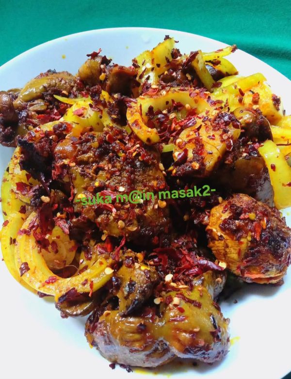 organ ayam