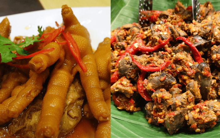organ ayam