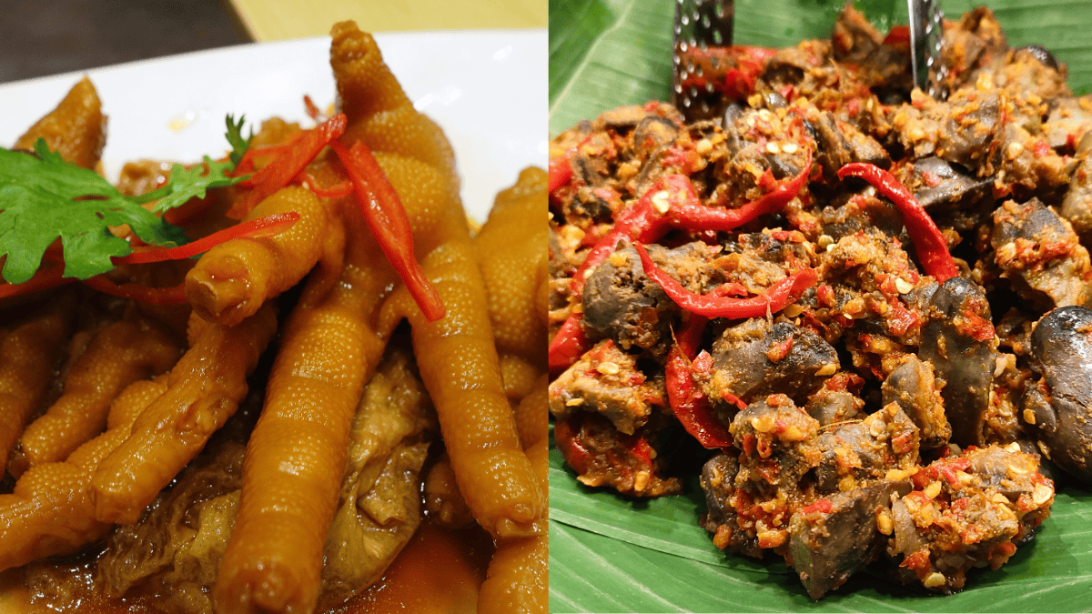 organ ayam