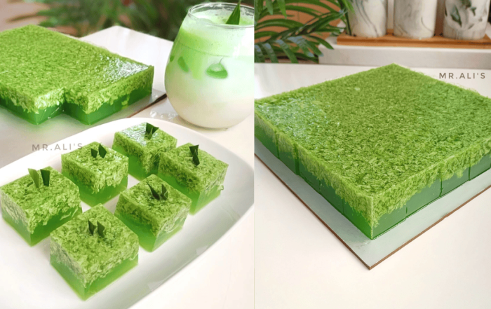 agar agar lumut